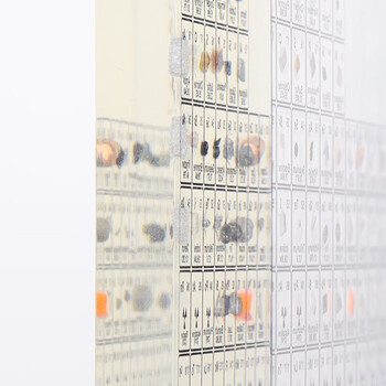 博教【全网低价】元素周期表化学元素亚克力水晶透明摆件 83种实物款 150X114X20mm六一儿童节礼物