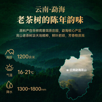 华祥苑茶叶礼盒 普洱茶熟茶 3年陈云南糯米香小金砖300g送老师送礼礼品