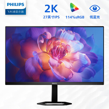 飞利浦 27英寸 2K IPS 75Hz 114%sRGB 旋转升降 低蓝光 DP端 高清设计办公显示器 网课学习显示屏27E1N5500E