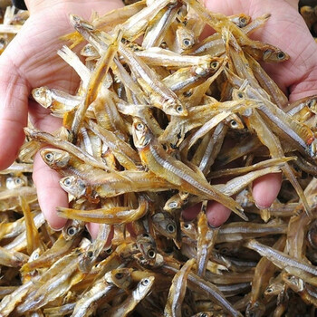 公干鱼小鱼干白凡鱼咸鱼干海鲜水产鱼干干货白公鱼干鱼 1斤