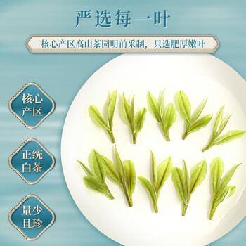 新旭堂白茶安吉茶叶绿茶礼盒装特级2025新茶春茶节日送人礼品送长辈200g 新旭堂白茶安吉茶叶绿茶礼盒装特级2025新茶春茶节日送人礼品送长辈200g