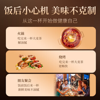 朕皇北京同仁堂大麦茶特级正品精选大粒烘焙浓香搭回奶宝断奶退奶250g