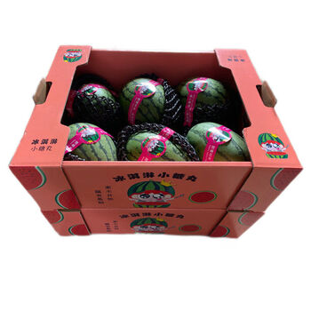 【沪可发货 48小时送达】新鲜冰淇淋小糖丸西瓜1箱4-6只 净重16斤