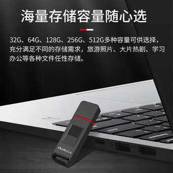 ThinkPlus联想 256GB USB3.2指纹加密U盘 FU200系列 防泄密商务学习办公优盘