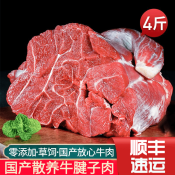 橙臻鲜新鲜牛腱子肉牛腿肉生鲜现杀黄牛肉冷冻生牛肉4斤装