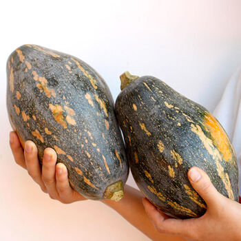 正宗广西香芋南瓜宝宝老小南瓜新鲜蔬菜批发非贝贝板栗南瓜香芋南瓜