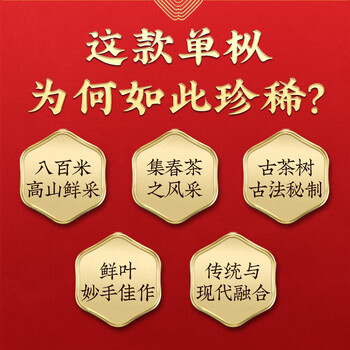 传奇会乌龙茶凤凰单枞蜜兰香特级250g茶叶2026新茶礼盒装父亲节礼物