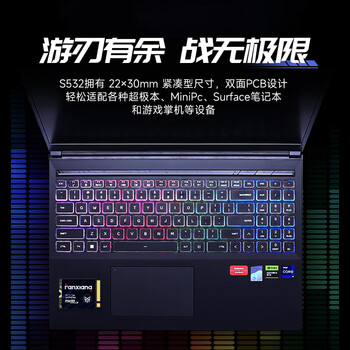 梵想（FANXIANG）1TB SSD固态硬盘 M.2接口NVMe协议PCIe3.0 2230小尺寸规格 电脑游戏机扩展硬盘S532