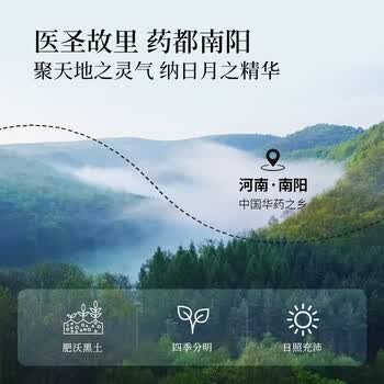 同仁堂（TRT）蒲公英根茶婆婆丁炒制莆公英颗粒大段蒲公英茶250g/罐