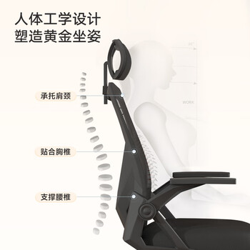 奈高（NAIGAO）电脑椅人体工学椅家用办公椅学习椅子宿舍电竞椅网布转椅YH-L17