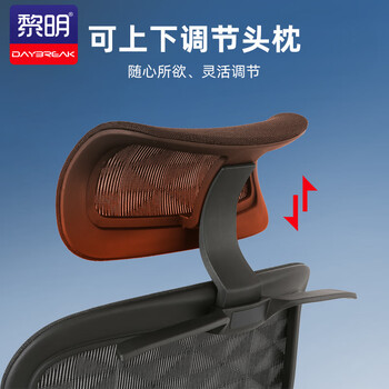 黎明人体工学椅 可躺老板椅 网布大班椅 办公椅 电脑座椅 黑色QLMW30