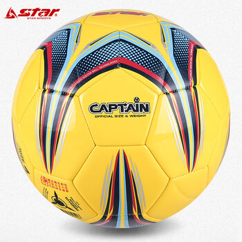 世达（star）足球4号球儿童少儿青少年标准训练比赛用球机缝耐磨 SB8664-05