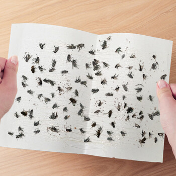 榄菊粘蝇纸30片装 粘苍蝇板粘蝇胶捕蝇灭蝇器 苍蝇贴 榄菊粘蝇纸30片装 粘苍蝇板粘蝇胶捕蝇灭蝇器 苍蝇贴