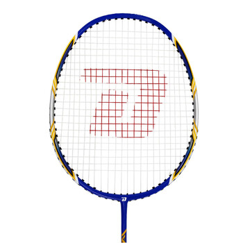 红双喜DHS羽毛球拍单拍碳素比赛羽拍EG601蓝色(已穿线附手胶) 红双喜DHS羽毛球拍单拍碳素比赛羽拍EG601蓝色(已穿线附手胶)