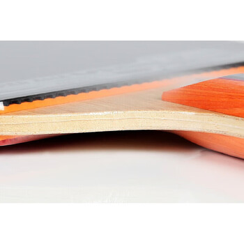 蝴蝶5星级乒乓球拍【双面反胶】专业级比赛拍子502-横拍/单 含拍套