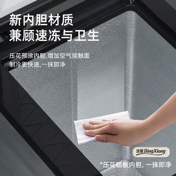 冰熊（bingxiong）冰柜.家用小型一级节能低噪 食品保鲜小冰箱 99L 玫瑰金【减霜 单门】【企采购】