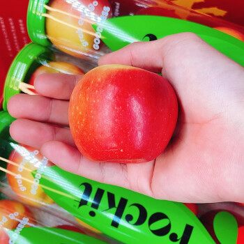 新西兰乐淇rockitapple火箭苹果6筒大果试管小苹果孕妇水新鲜进口水果