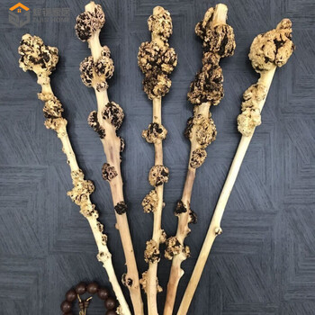 云南黑果木把玩棍手把件背锤木手杖拐杖木按摩健身背锤天然树瘤 【多