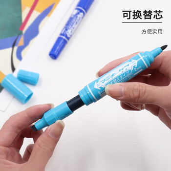 斑马牌（ZEBRA）大麦奇双头记号笔 可换替芯 油性标记笔 物流大头笔 签名马克笔 YYT5-12C 12色套装