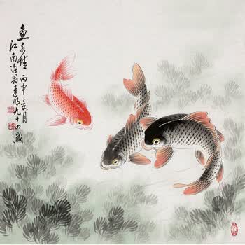 画鱼高手 九十三岁画家迟明《鱼水情》