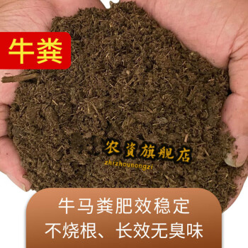 牛粪可以养殖什么