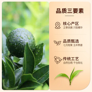 忆江南小青柑茶叶礼盒送人228g云南熟普散茶陈皮送父母长辈的礼物