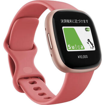 Fitbit红色智能手表新款- Fitbit红色智能手表2021年新款- 京东
