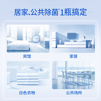 蓝月亮漂白水含氯除菌液600g 除菌率99.9% 白衣去渍漂白 家居清洁除菌