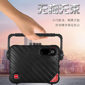 万利达（Malata）手提式广场舞家用户外演出无线蓝牙电木吉他贝斯民谣弹唱乐器音箱低音炮会议室