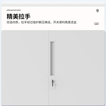 中伟（ZHONGWEI）文件柜办公钢制铁皮柜资料档案柜储物拆装柜通五节纯白加厚款