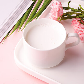 春光食品 海南特产 速溶椰子粉374g 生椰拿铁 咖啡伴侣 椰奶椰汁粉