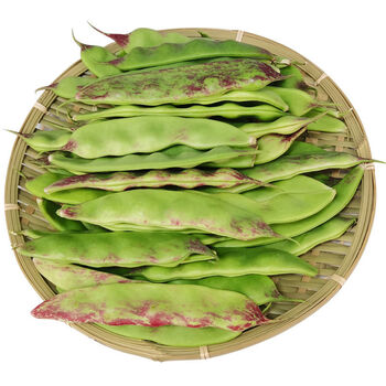 【精选生鲜】东北一点红油豆角九月青新鲜蔬菜现摘面豆角开锅烂 净重3
