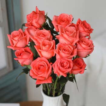 花束日常家庭办公室花瓶插花水养鲜切花全国速递空运包邮影星玫瑰18枝