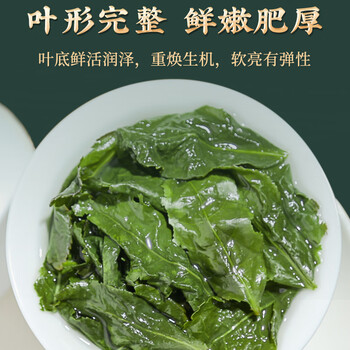 珍茶师乌龙茶安溪铁观音清香型特级500g罐装茶叶自己喝