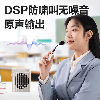 得力（deli）13W小蜜蜂有线款扩音器教师专用音箱小喇叭腰挂麦克风录音蓝牙插卡导游便携喊话器生日礼物灰