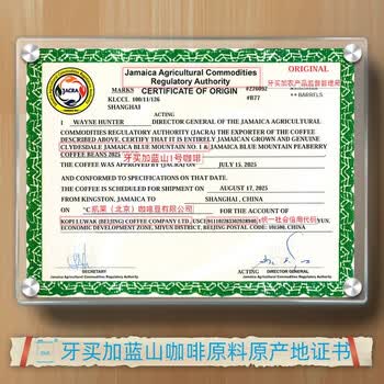 Dux牙买加蓝山咖啡豆牙买加农业部官方授权蓝山1号高端咖啡手冲125g