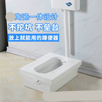惠利得免砌台式蹲便器马桶坐便器改蹲厕防臭家用免挖坑明装陶瓷一体