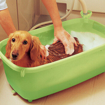 日本爱丽思iris 泰迪贵宾宠物澡盆狗浴盆bo-600e犬猫洗澡盆 绿色