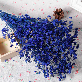 干花插花真花花束玄关摆设房间装饰摆件diy勿忘我情人草 宝蓝色 水晶