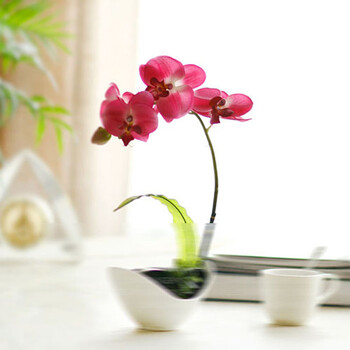 
                                        陶瓷底座仿真花蝴蝶兰树脂干花客厅餐桌装饰花盆景卉摆件 D 款酒红色                