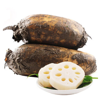 5kg 野生莲藕白莲藕粉藕 煲汤粉藕孔糯米藕新鲜蔬菜