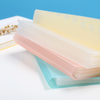 国誉(KOKUYO)A4手提式风琴包淡彩曲奇学生竖款资料册文件夹 5层6袋 粉色1个 WSG-DFC65P