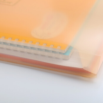 国誉(KOKUYO)A4文件夹淡彩曲奇学生双口袋收纳资料册 透明 4本 WSG-KUCW311T