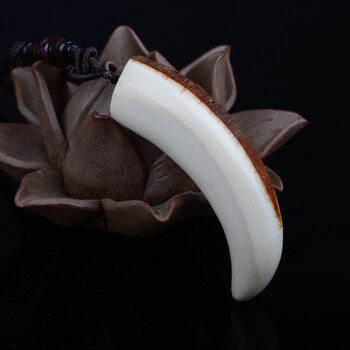 【个性】西伯利亚 猛犸象牙 带皮牙尖 34.79g