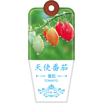北京东升种业（DS）���菜种子西红柿天使番茄种子四季蔬菜 家庭阳台 庭院种植80粒/袋