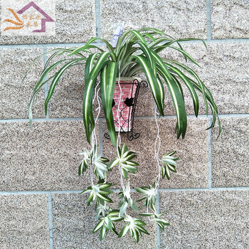 ulknn 壁挂仿真花室内外墙面家居装饰品客厅餐厅挂壁金钟柳吊兰绿植假