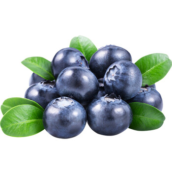 鹏跃生鲜 智利秘鲁进口蓝莓蓝莓鲜果 新鲜水果 125g/盒装 4盒 500g