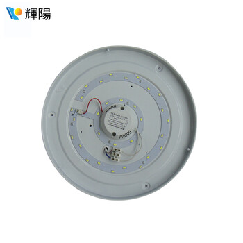 輝陽LED吸顶灯12W16W22W烟花 现代简约书房餐厅厨房阳台过道玄关灯具正白光 12W正白光-直径27cm