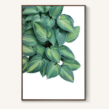 小清新树叶北欧风格绿植客厅装饰画沙发背景墙壁植物挂画sn6041 1.