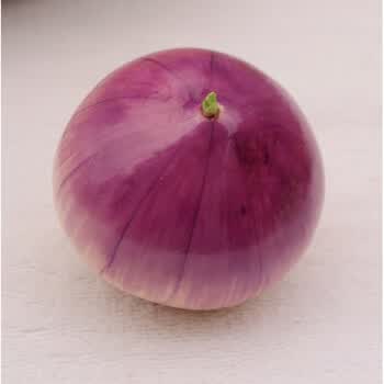 星尘 仿真蔬菜模型玩具 食物模型 橱柜装饰摆设品 高仿真洋葱 紫色